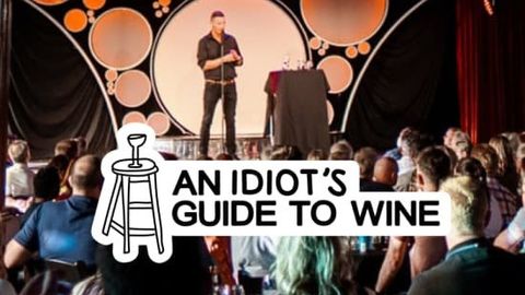 An Idiot’s Guide to Wine: Comedia entre copas