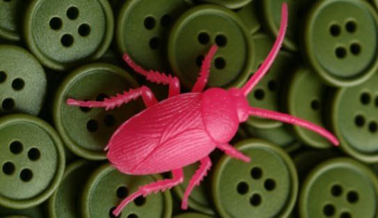CUCARACHA