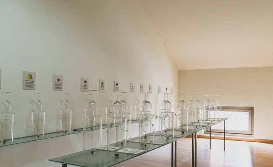 Visita a las bodegas Silvano García