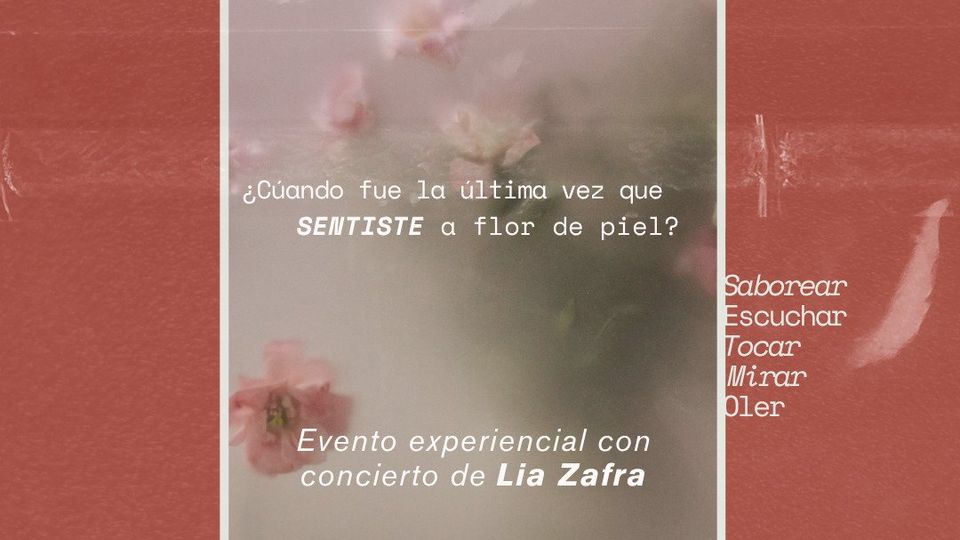 Lilium concierto sensorial